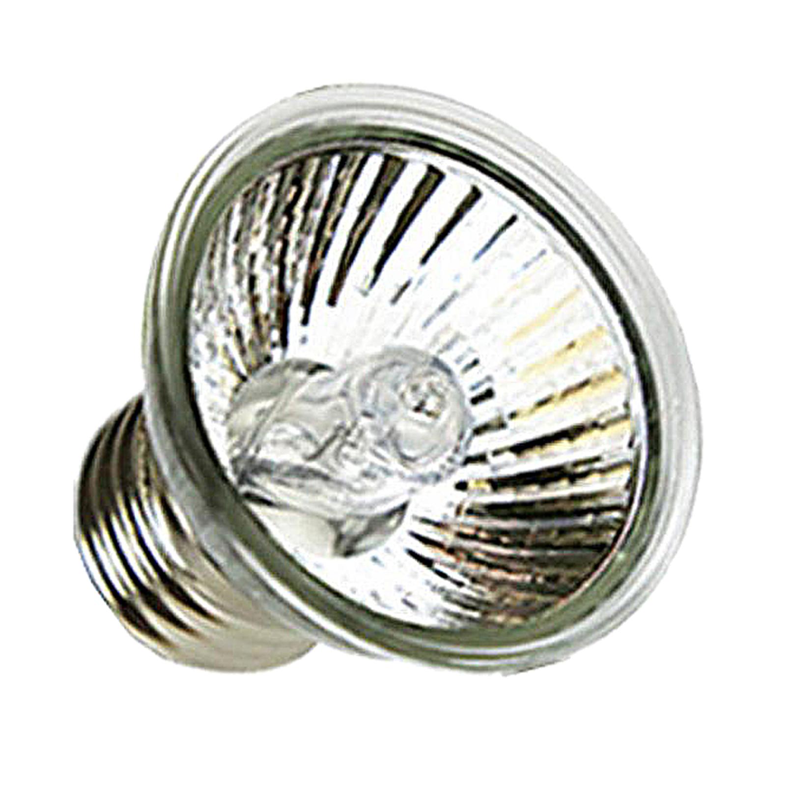 UVA UVB Reptile Heat Lamp Halo - đánh giá và giá Basking Bulb Halogen