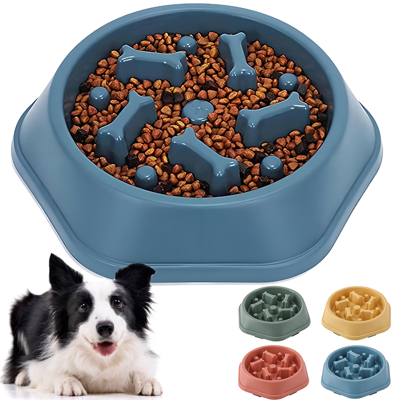 Slow Feeder Dog Bowl Anti-chok - đánh giá và giá Royal Canin Food Medium