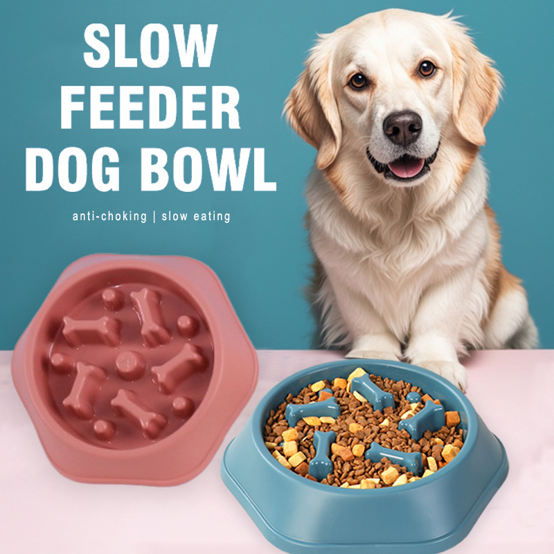Slow Feeder Dog Bowl Anti-chok - đánh giá và giá Royal Canin Food Medium